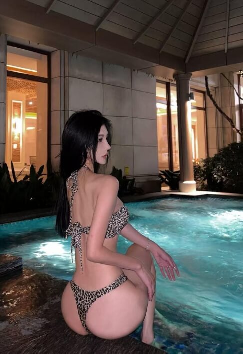 肥嘉合集下载 肥嘉合集下载