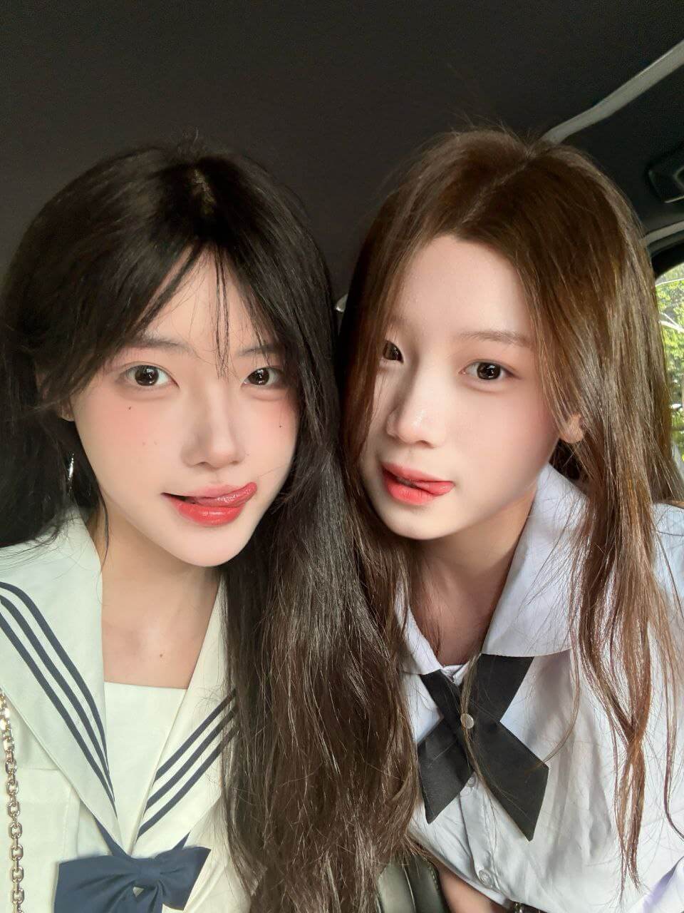 一只香合集下载 一只香合集下载