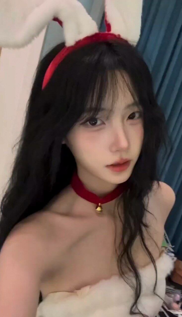 一只香合集下载 一只香合集下载